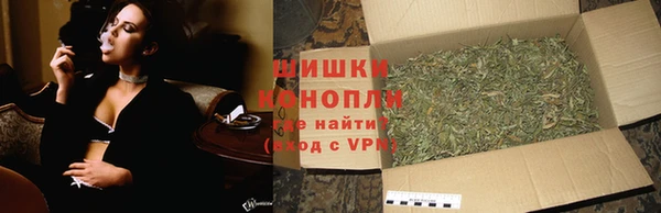 мдпв Ельня