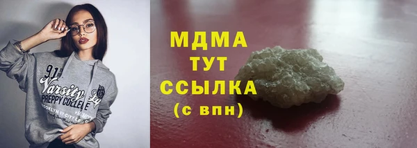 мдпв Ельня