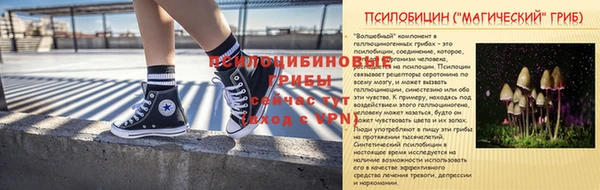 экстази Дмитриев