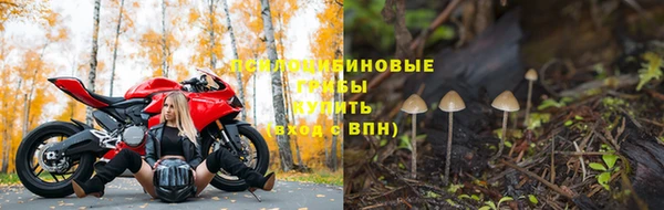 MESCALINE Елизово