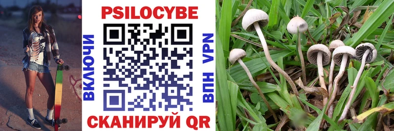 Галлюциногенные грибы GOLDEN TEACHER  Зубцов 